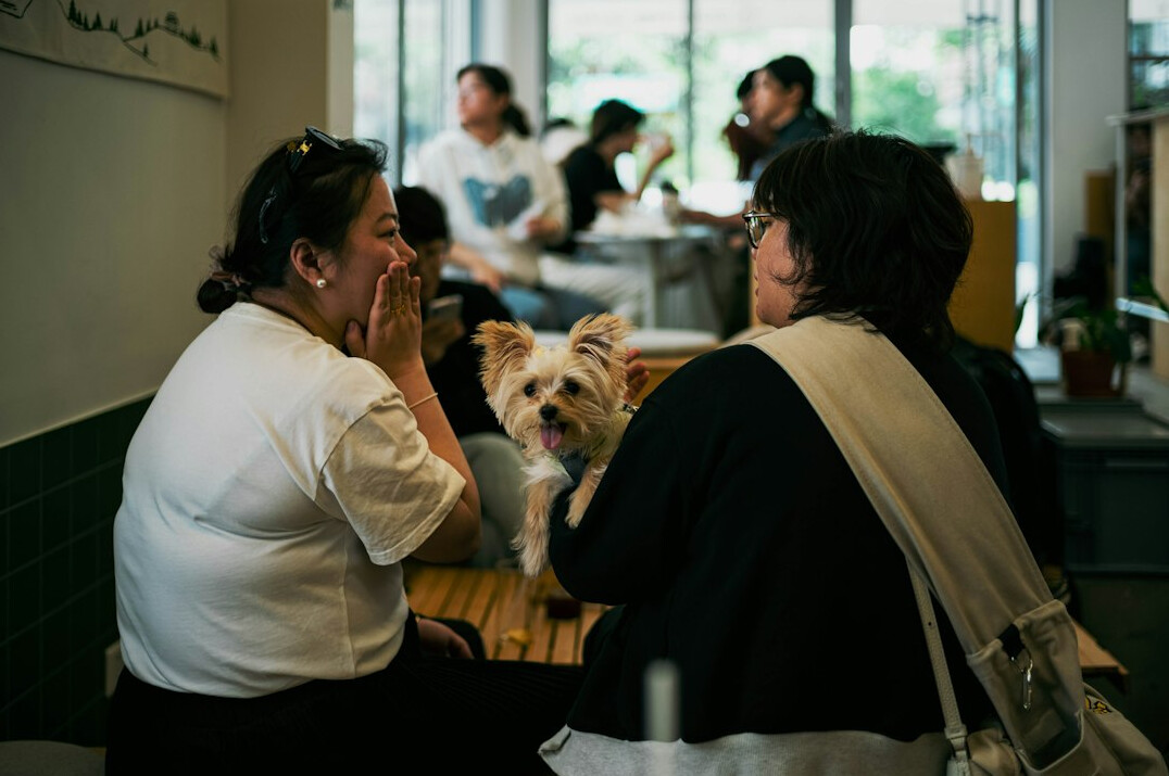 Diverse Brazilian colleagues in a discussion around a table